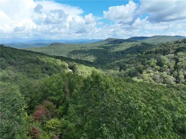 235 Andes RDG, Ellijay, GA 30536