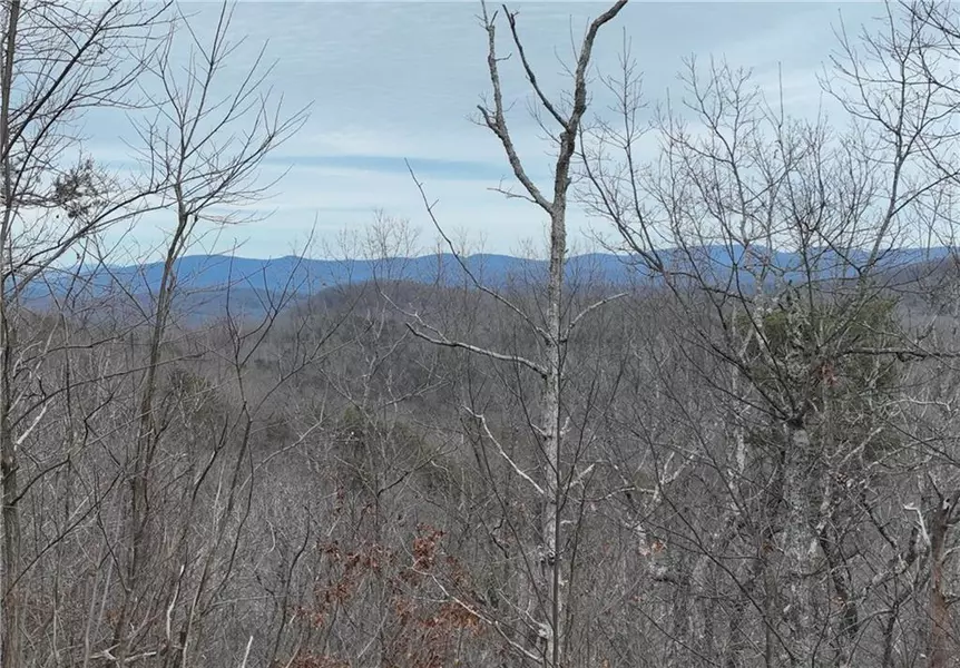 235 Andes RDG, Ellijay, GA 30536