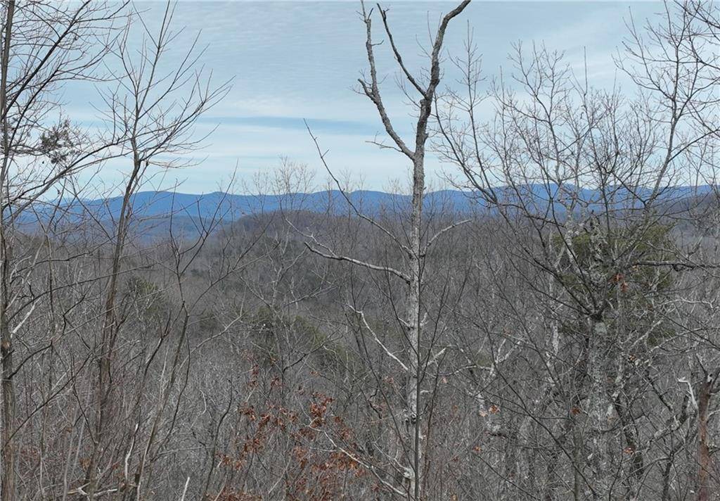 235 Andes RDG, Ellijay, GA 30536