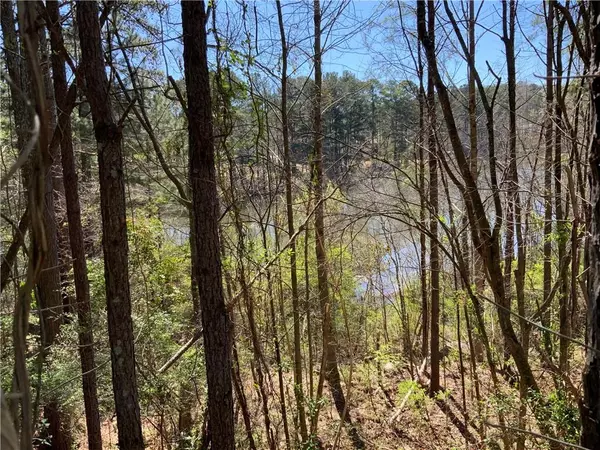 Ellenwood, GA 30294,2332 Carrington DR
