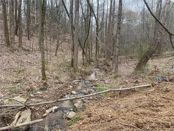 Talking Rock, GA 30175,247 Tatum RD