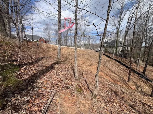 Gainesville, GA 30506,3393 BANKS MOUNTAIN DR