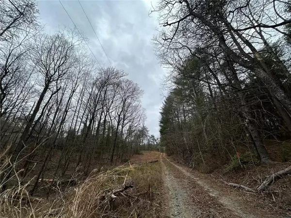 Ellijay, GA 30536,345 Southern RD