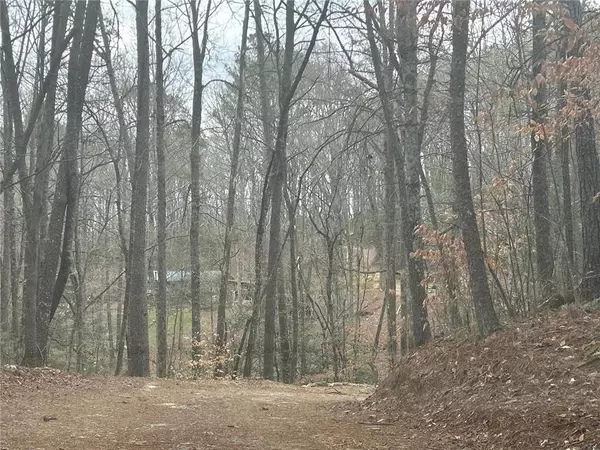 Ellijay, GA 30536,345 Southern RD