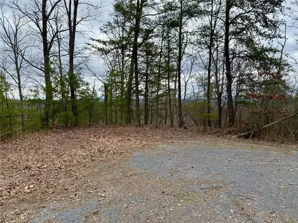 Ranger, GA 30734,989 Blade CT