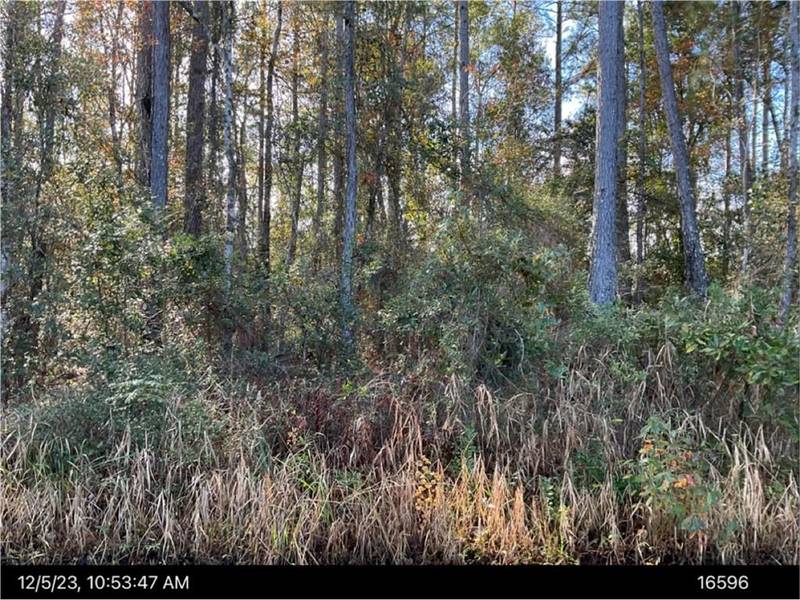 n/a Oak Hill Church RD, Kingsland, GA 31548