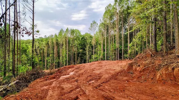 Jasper, GA 30143,0 Hawthorne Hill RD