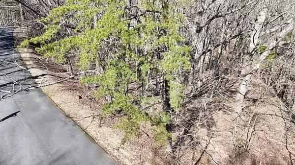 Waleska, GA 30183,125 Grey Eagle DR