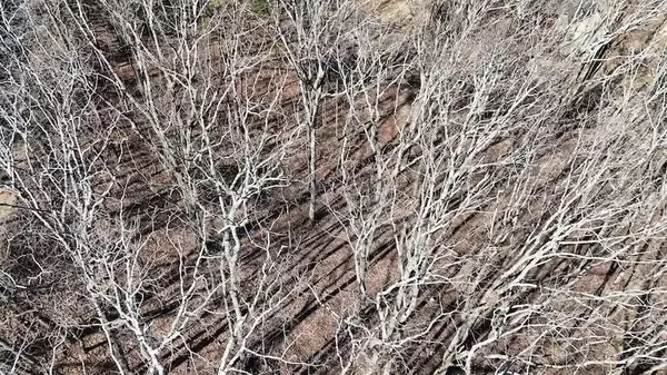 Waleska, GA 30183,125 Grey Eagle DR