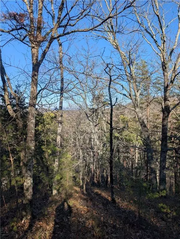 Ranger, GA 30734,185 Stirratt RD