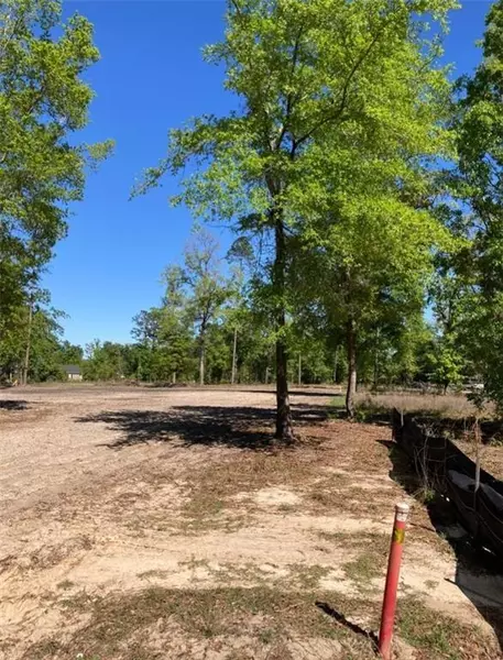 5603 School House Pond RD, Lake Park, GA 31636