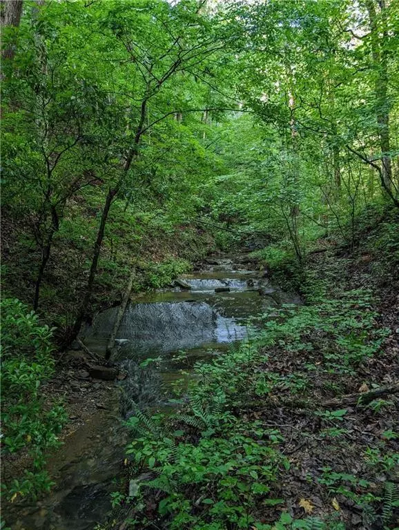 Ranger, GA 30734,772 Naomi CT