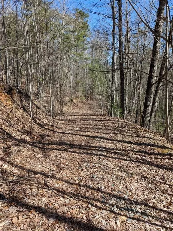 Morganton, GA 30560,0 My Mountain RD