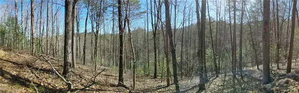 Morganton, GA 30560,0 My Mountain RD