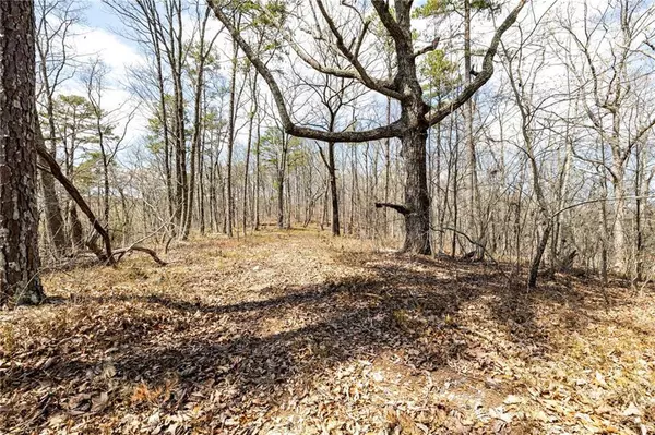 Kingston, GA 30145,000 Flowery Branch RD NE