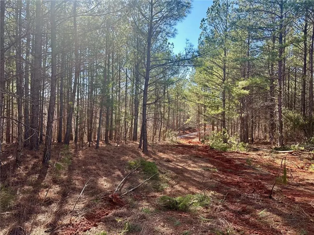 Dahlonega, GA 30533,5-/+ Patriot