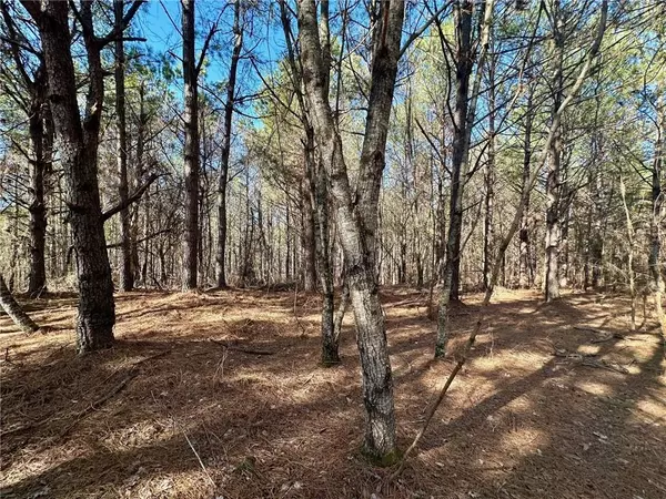 Dahlonega, GA 30533,5-/+ Patriot