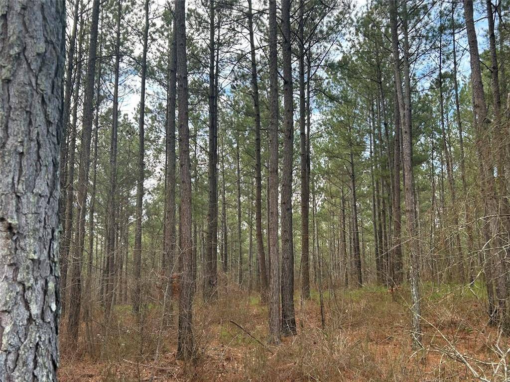 Carrollton, GA 30117,149 River CV