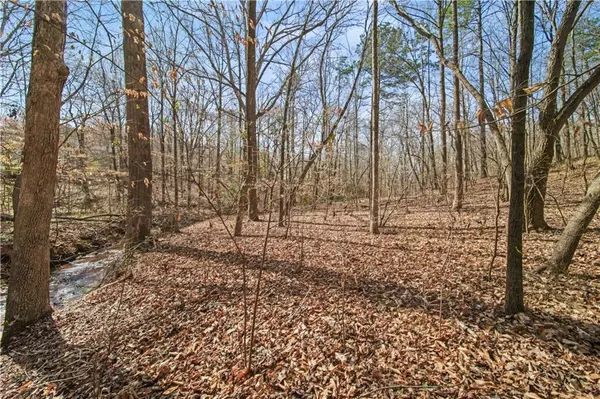 Pendergrass, GA 30567,Lot 2 Kinney Creek LN