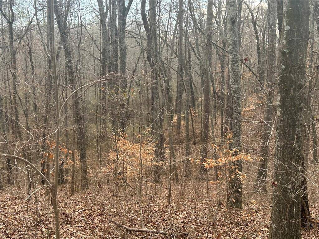 Carrollton, GA 30117,125 RiverSong RD