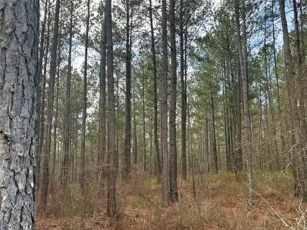 Carrollton, GA 30117,181 RiverSong RD