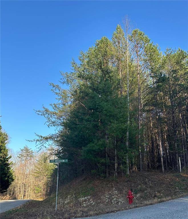 Blairsville, GA 30512,0 IVY MEADOW LN
