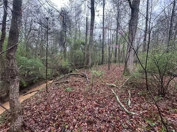 Rome, GA 30161,0 Walker Mountain RD SW