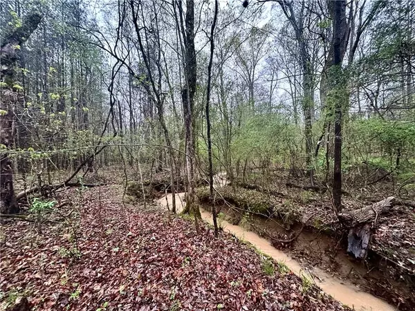 Rome, GA 30161,0 Walker Mountain RD SW