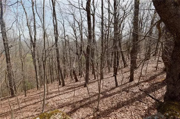 Big Canoe, GA 30143,820 Falcon Heights