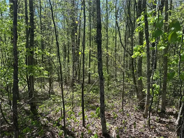 Chatsworth, GA 30705,0 North 411 HWY