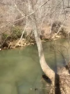 Dawsonville, GA 30534,0 River Bend RD