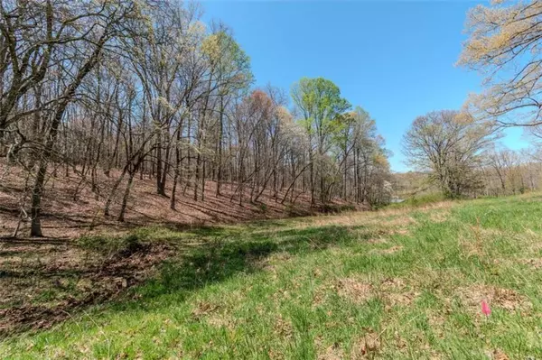 Morganton, GA 30560,13.75A Tipton Springs RD