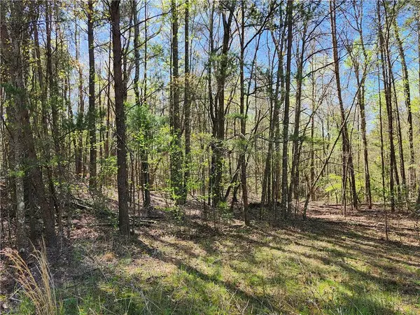 Dawsonville, GA 30148,00 Afton RD