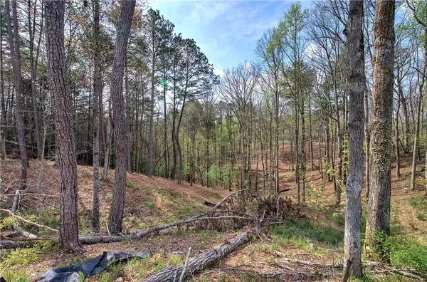 Ellijay, GA 30540,259 High River RD