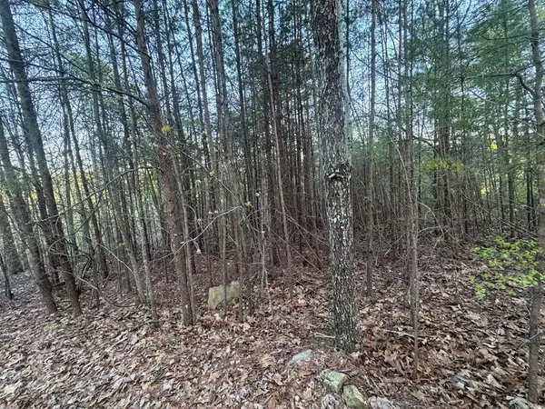 Ranger, GA 30734,1057 Mayfield LN NE