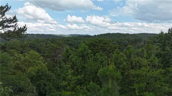 Ranger, GA 30734,1057 Mayfield LN NE