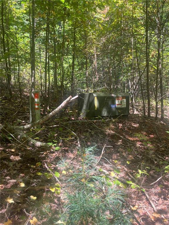 Sautee Nacoochee, GA 30571,0 Chimney Mountain Rd, Lot 5 and 6