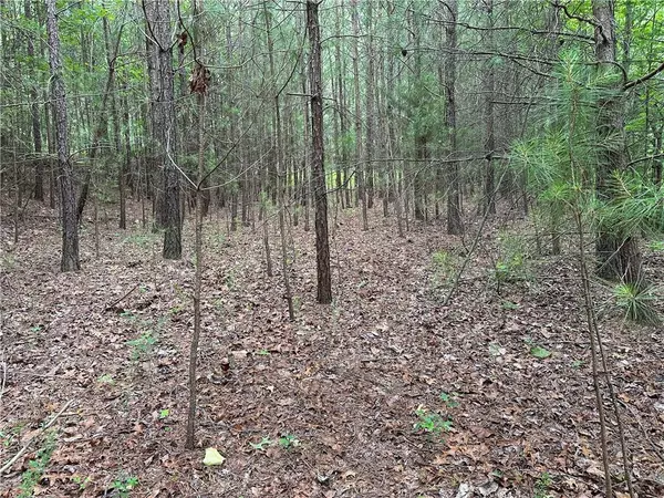 Ranger, GA 30734,585 Galaxy WAY