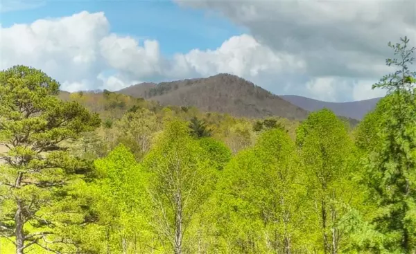 Ellijay, GA 30536,209 Greystone TRCE