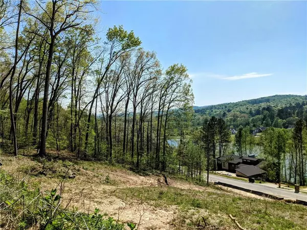 Ringgold, GA 30736,42 Canoe CV