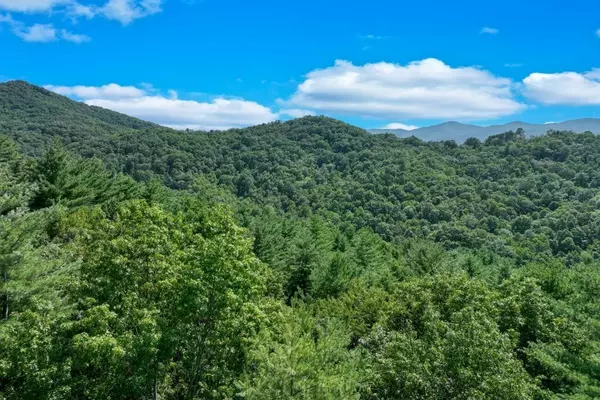 Hiawassee, GA 30546,2412 Fodder Creek Mill DR