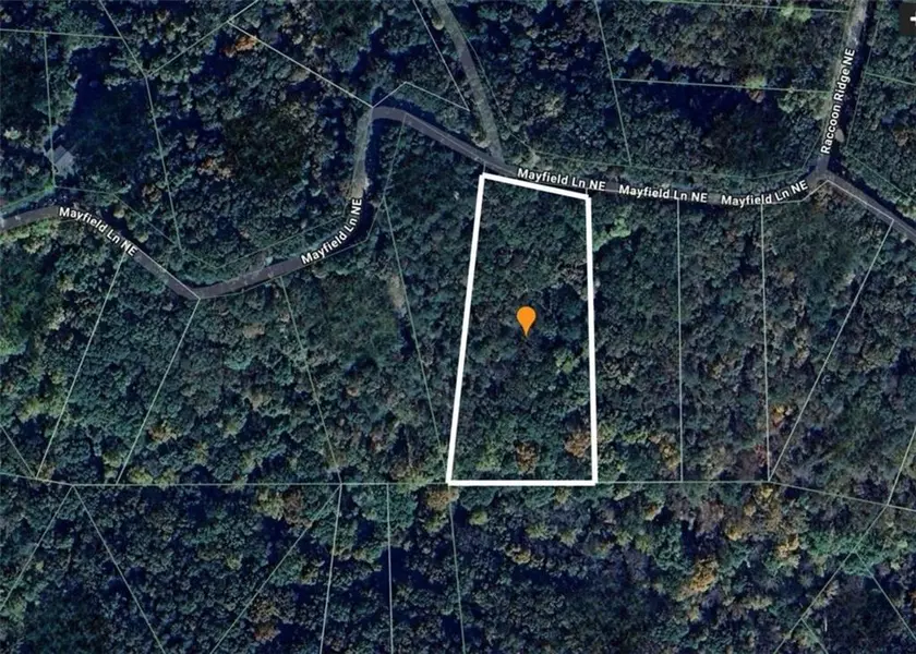 1019 Mayfield LN NE, Ranger, GA 30734