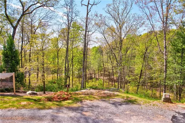 Ellijay, GA 30540,Lot #2 Jakes Landing WAY N