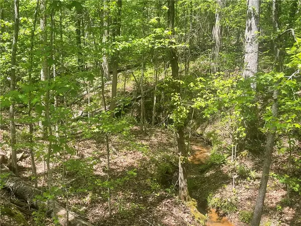 Rutledge, GA 30663,0 Weaver Jones Tract 10B