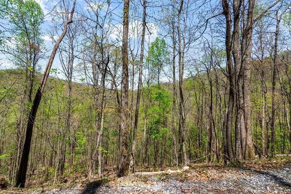 29 Hidden Valley DR, Ellijay, GA 30536