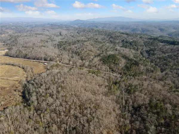 Talking Rock, GA 30175,23 Ac Whitestone RD