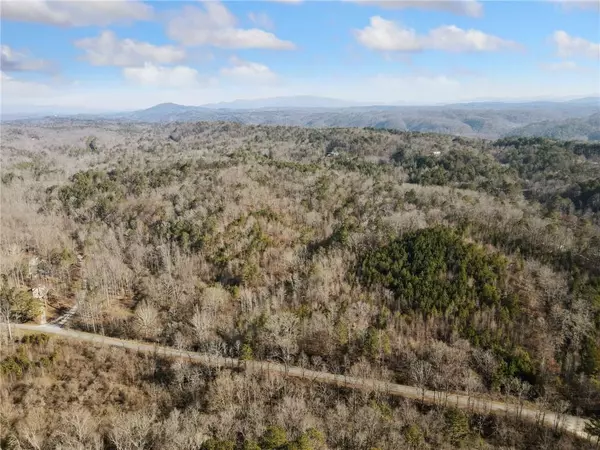 Talking Rock, GA 30175,23 Ac Whitestone RD