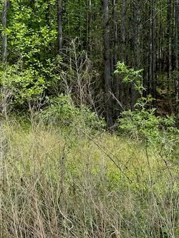 Ellijay, GA 30536,0 Eastside DR