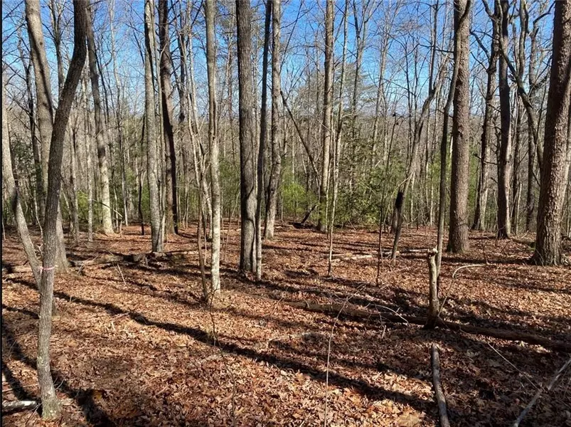 00 Cox RD, Blue Ridge, GA 30513