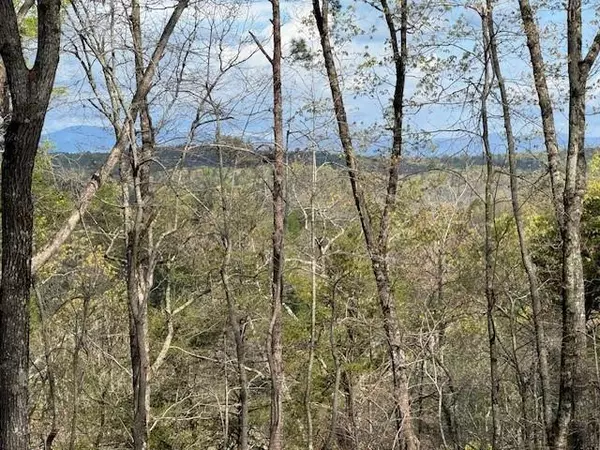 Dahlonega, GA 30533,TRACT2 Panorama DR